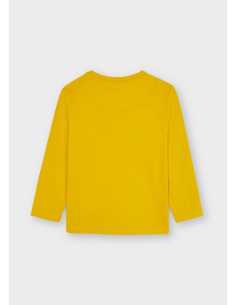 CAMISERTA M-L BASICA 2