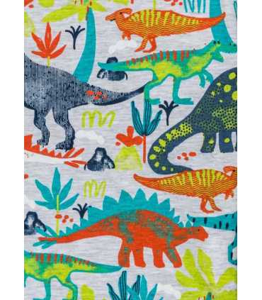 CAMISETA M-C DINOSAURIOS