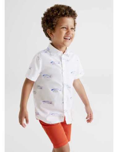 BERMUDA SARGA 5B BASICA