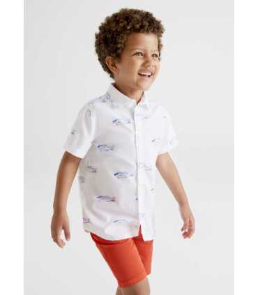 BERMUDA SARGA 5B BASICA