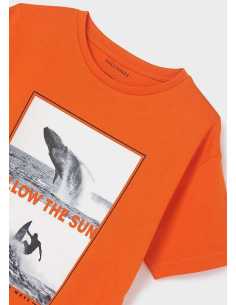 CAMISETA M-C -FOLLOW THE SUN- 2