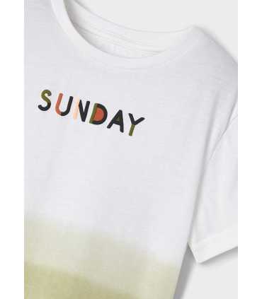 CAMISETA M-C DIP DYE