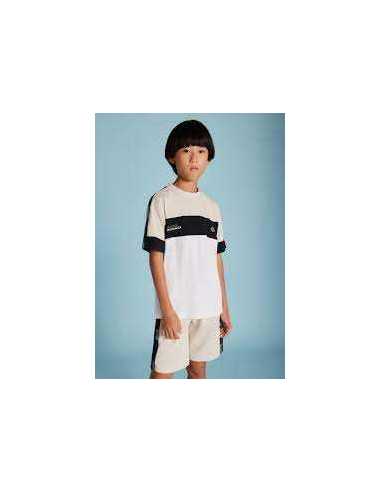 Conjunto bermudas y camiseta bandas chico