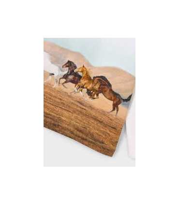 Camiseta posicionado niño