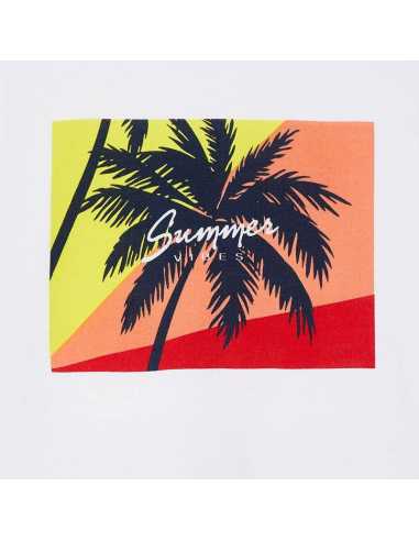 CONJ. PUNTO BERMUDA RAYAS