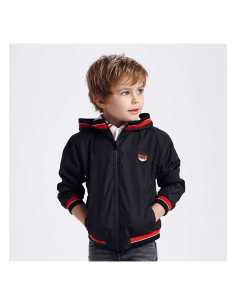 CORTAVIENTOS PATENTES